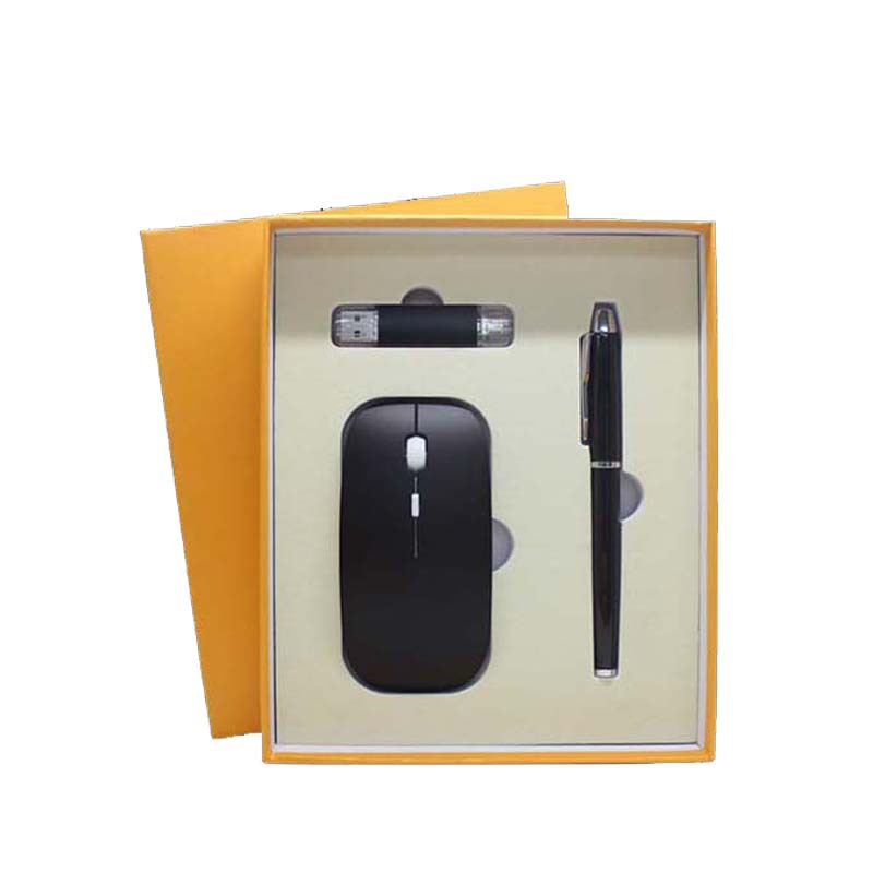 3 in 1 Gift Set with USB, Mouse, and Pen Unqiue Gift Ideas